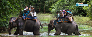 Chitwan Elephant Safari