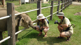 Elephant Breeding Center, Chitwan National Park