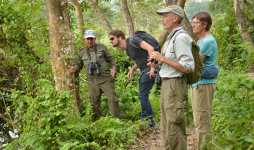 jungle walk in chitwan national park