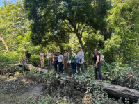 jungle walk in chitwan national park