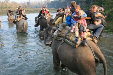Elephant Safari