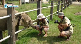 Elephant Breeding Center, Chitwan National Park