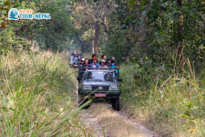 jeep safari in Chitwan National Park