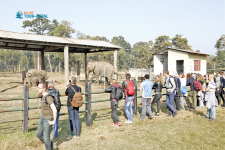 Elephant Breeding Center, Chitwan National Park