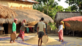 Tharu Village, Chitwan