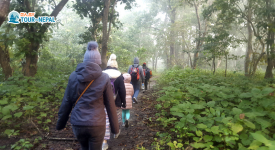 jungle walk in chitwan national park