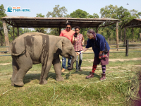 Elephant Breeding Center, Chitwan National Park