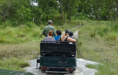 jeep safari in Chitwan National Park