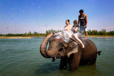 Elephant Bathing in Chitwan