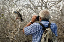 bird watching in chitwan national park