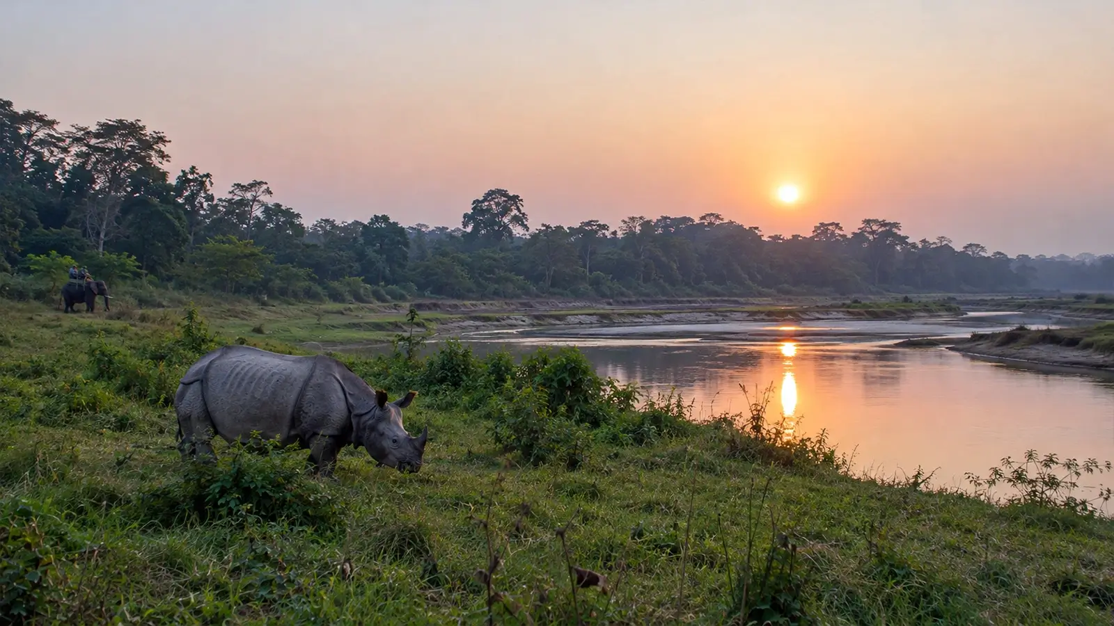 chitwan tours