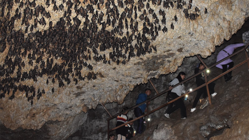 About Bat Cave (Chamero Gufa)