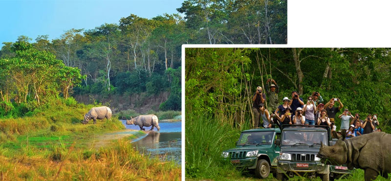 Chitwan National Park – Wildlife & Nature Tour