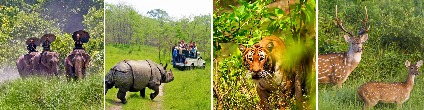 nature and wildlife tours in nepal