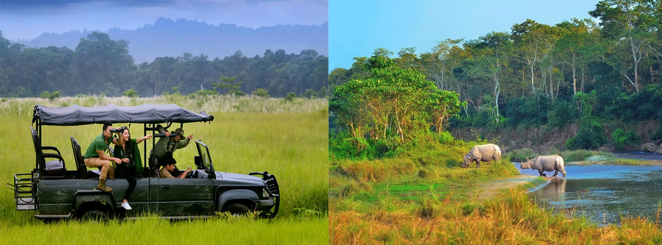 2 Nights 3 Days Chitwan National Park Jungle Safari Tour