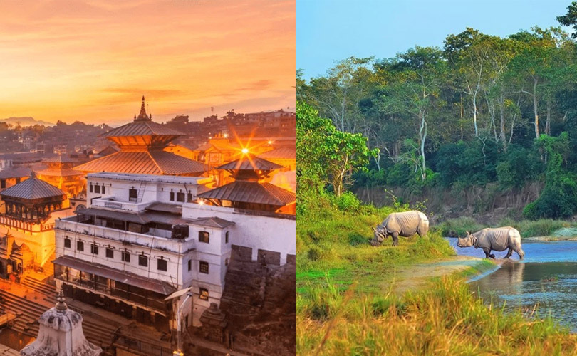 Kathmandu And Chitwan National Park Tour